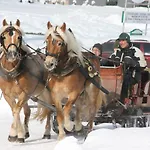 Haus Klager Chalé Ramsau am Dachstein